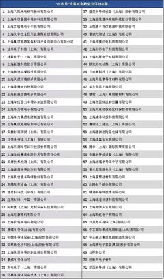 复工复产,上海打响汽车芯片"保卫战"